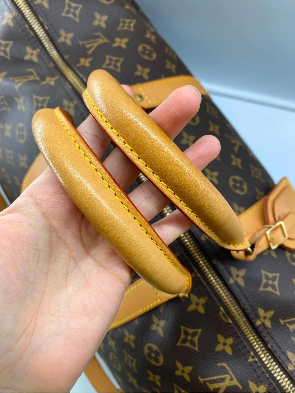 Louis Vuitton iconic louis